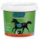 GNF - Função Intestinal