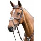 PRESTIGE E80 LEATHER BRIDLE