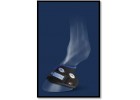 Veredus Magnetik Hoof Boot